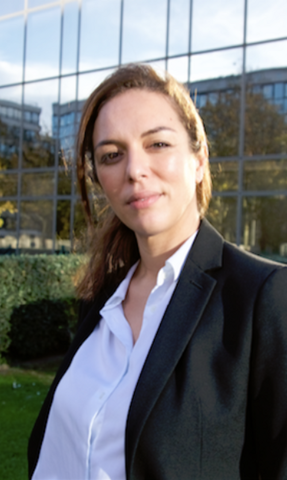 iMANE DESTOUCHE.png